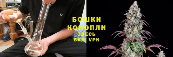 ПСИЛОЦИБИНОВЫЕ ГРИБЫ Магадан