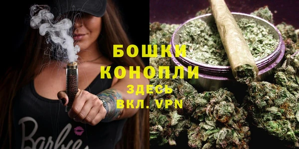 тгк Лиски