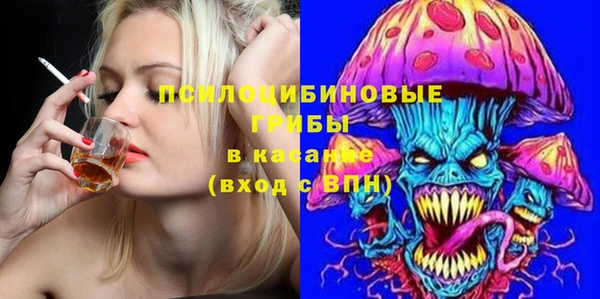 МДПВ Магас