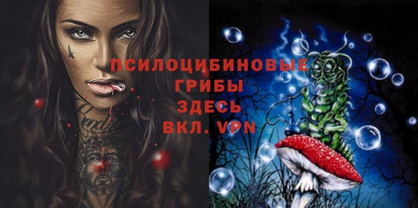 дурь Лихославль