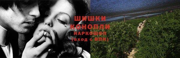 тгк Лиски
