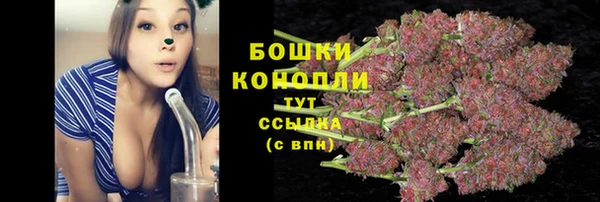 МДПВ Магас
