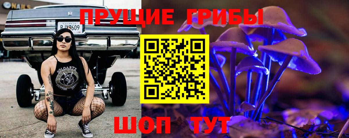 Галлюциногенные грибы Psilocybine cubensis Тверь