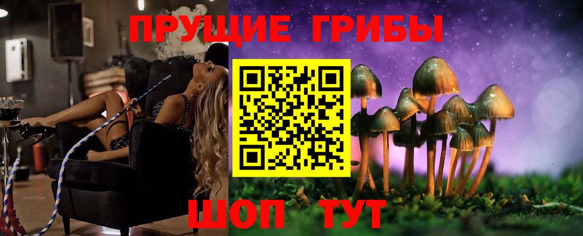 Псилоцибиновые грибы прущие грибы  Вход с VPN  Галлюциногенные грибы мухоморы  Тверь 