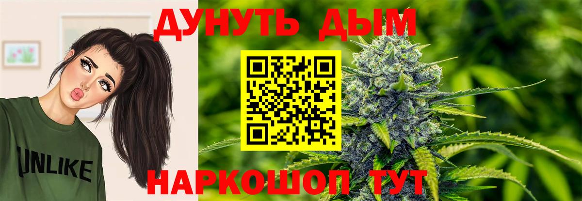 Конопля план  Тверь  МАРИХУАНА сатива  Марихуана Amnesia 